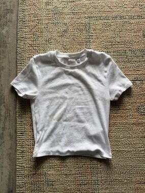 Aritzia HomeStretch™ Rib Tune Waist T-Shirt